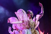 DSC_8725_JPEG.jpg