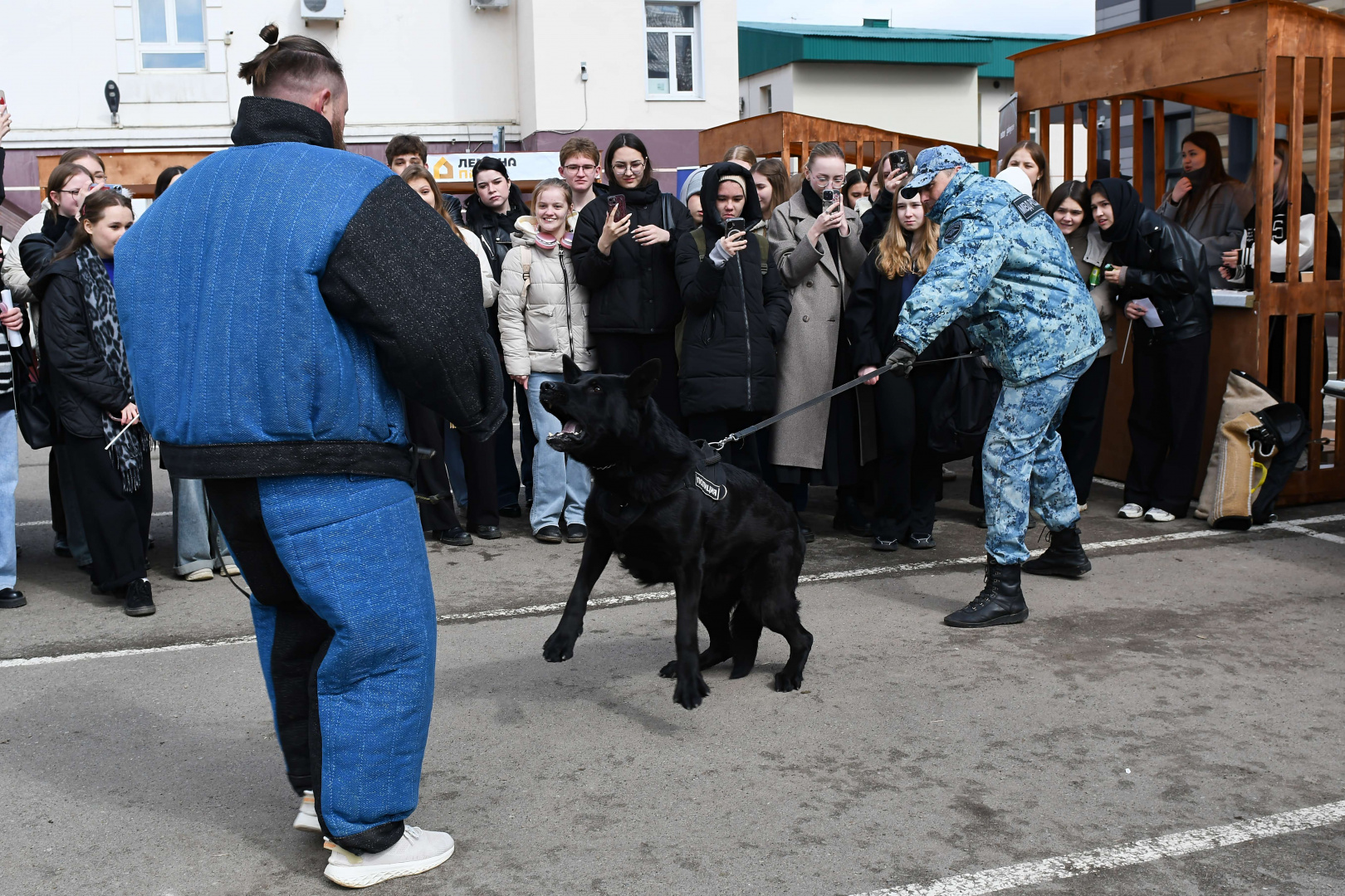КИУ открывает карьерные возможности: как прошёл масштабный фестиваль «Рабочая площадка»